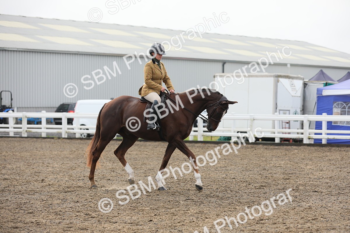 SBM_21332 - Class 805 - Ridden Veteran Horse