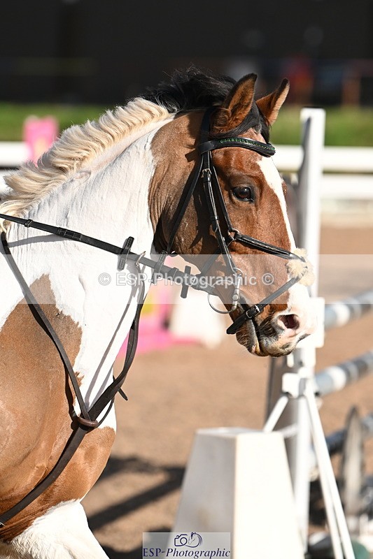 241026A-122420-00888 - SAT Cls 9 Pony Newcomers and 1m Open