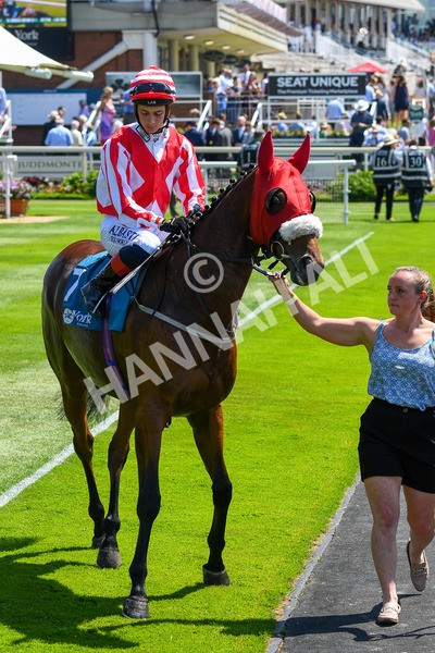 160623-Race 1-Menelaus-0126 - Race 1 1.50pm Andy Thornton Hospitality Furniture Apprentice Handicap