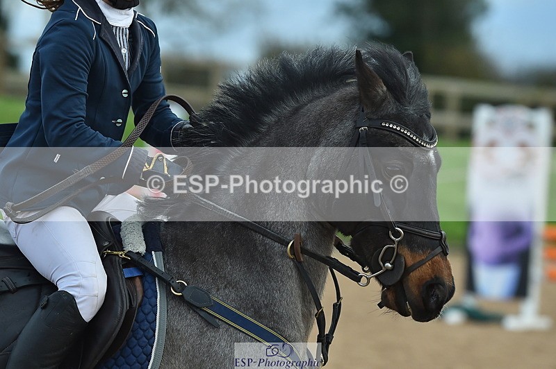 231119A-133404-06024 - Sun Cls 26 Springboard 128cm & 138cm