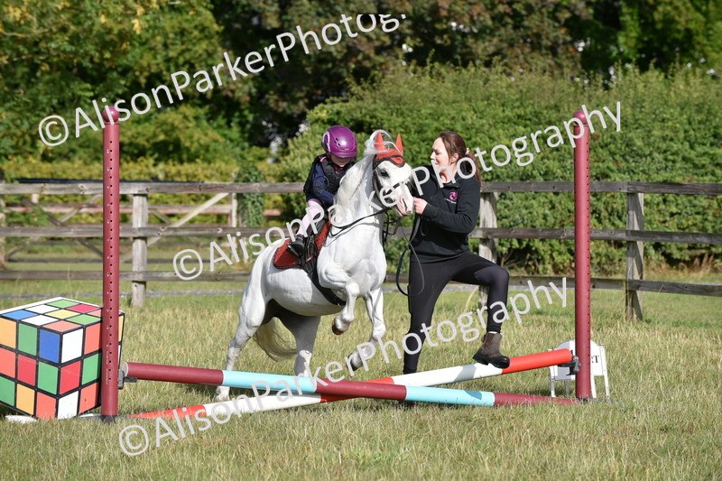 20250831-0242 - Class 6 - Minimus Jumping 30cm