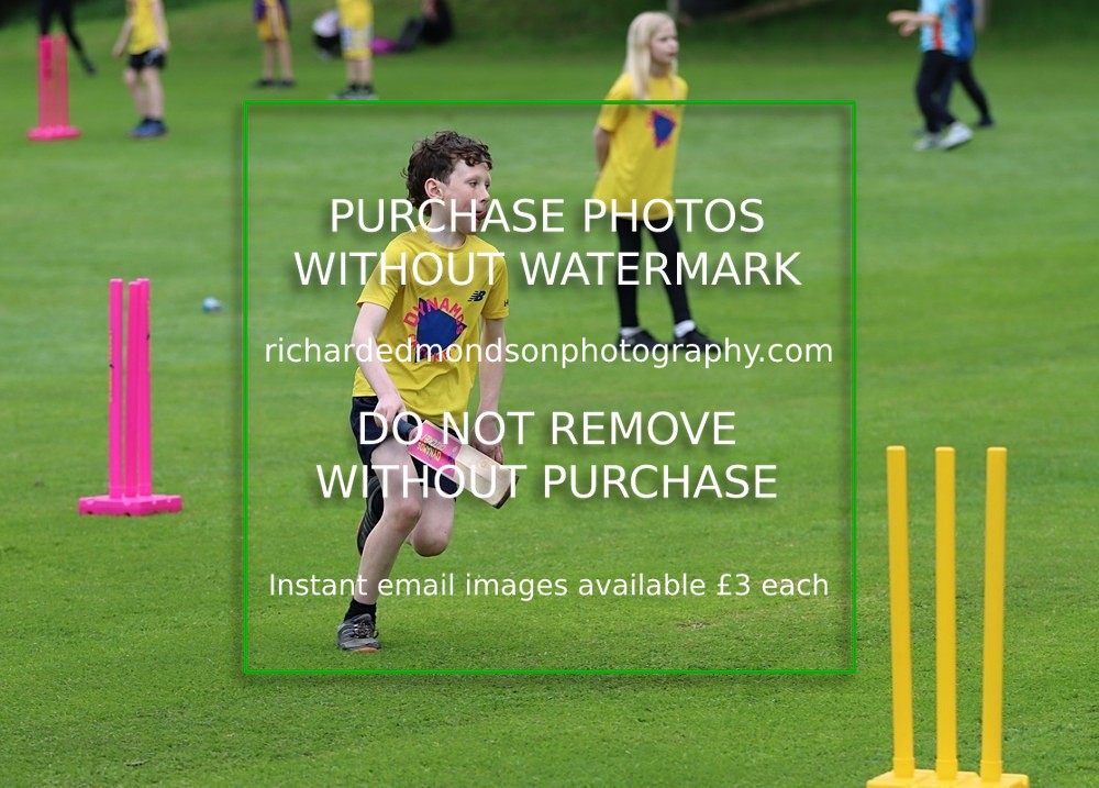 IMG_1202 - All Stars Cricket-Netherfield