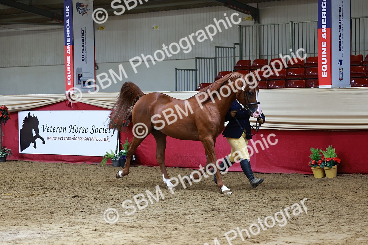 SBM_23018 - Supreme Final - IH  Champ