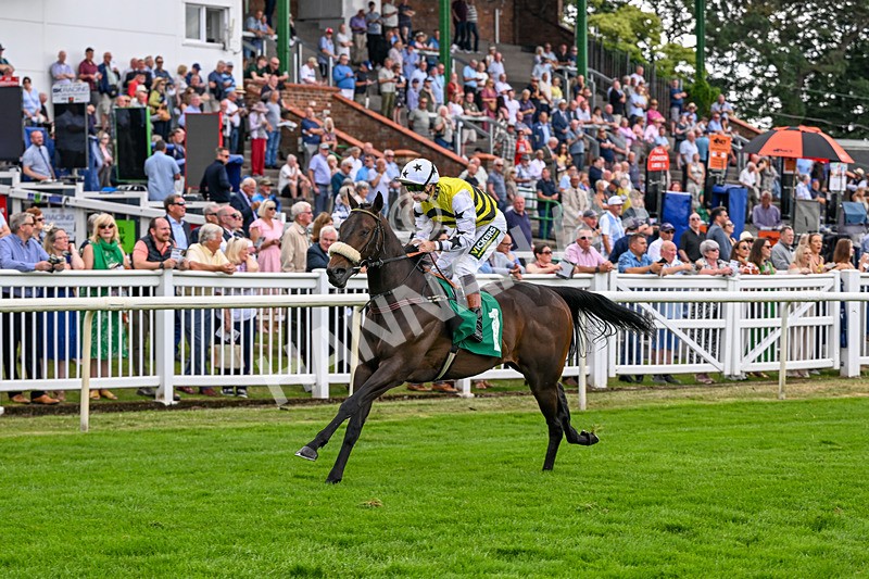 010726-Race 2-Arapaho Gold-7777 - Race 2 13.38pm British EBF Restricted Novice Stakes (Div II)
