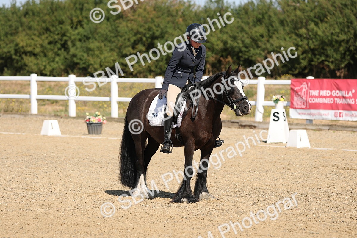 SBM_013546 - Class 1 - P5 Bronze 10.38.12.02