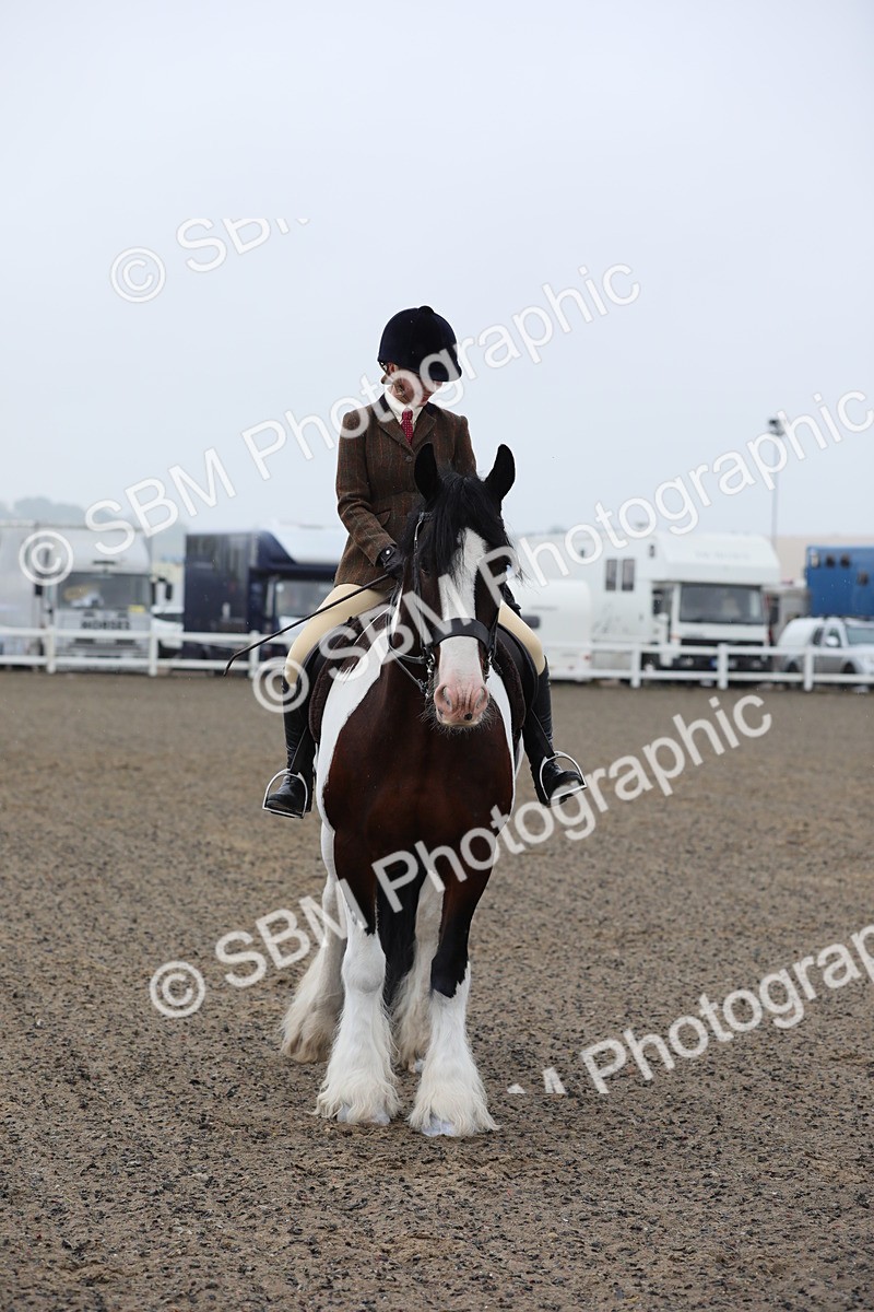 SBM_19932 - Class 801 - Ridden Veteran