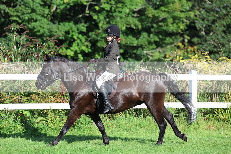 3E7A7607 - Class 1: Novice Working Hunter Pony