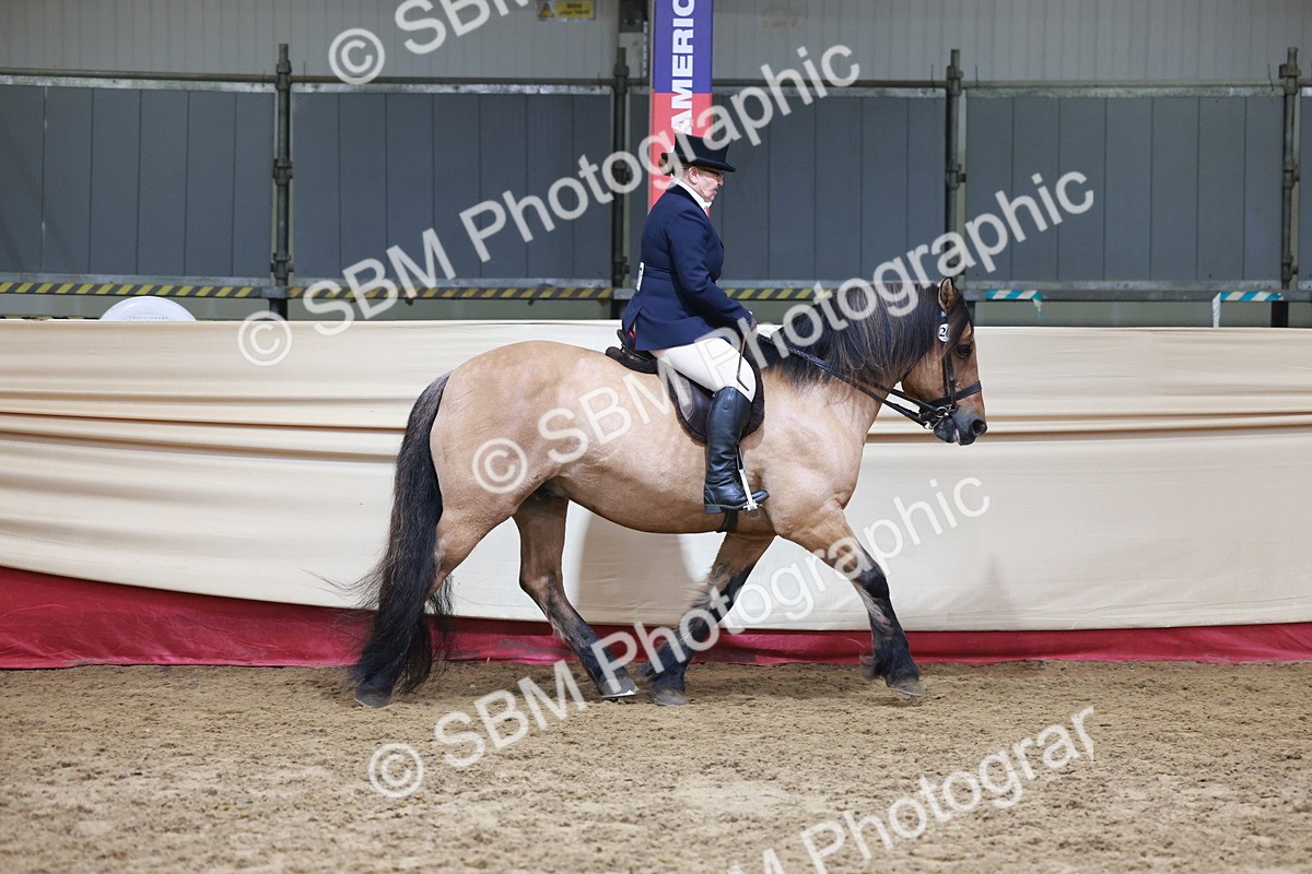 SBM_18571 - Class 952 - M&M Ridden Supreme Final