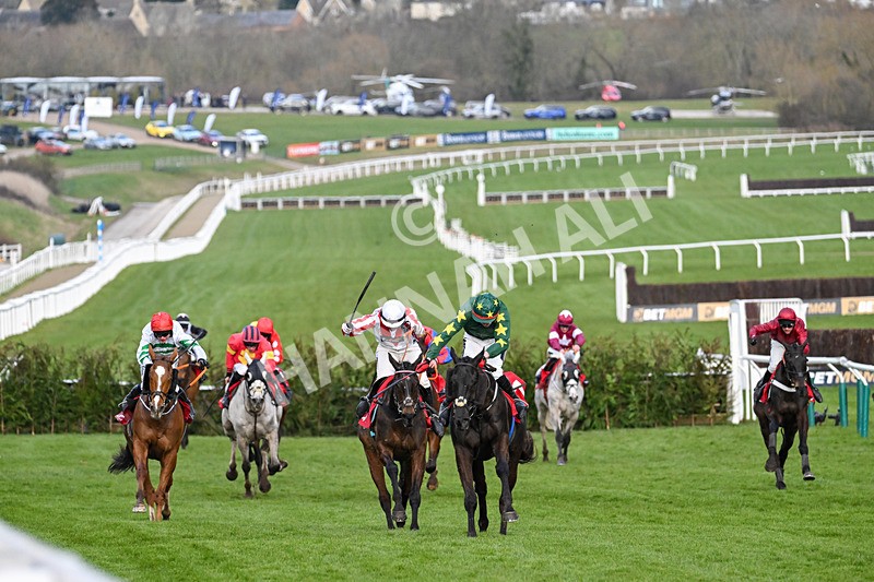 120325-Race 4-Stumptown-7013 - 12th March