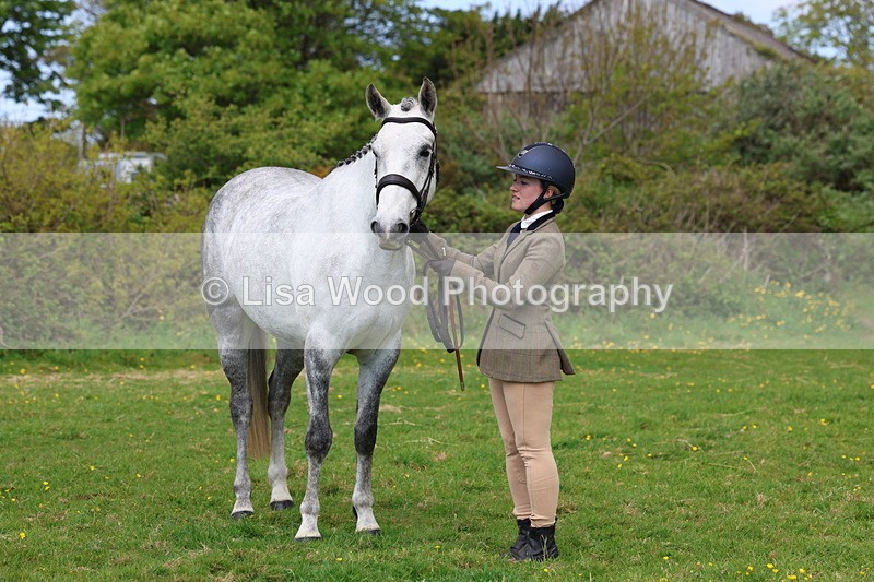 3E7A0510 - Class 20: Sports Horse