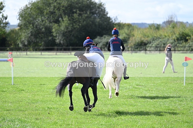 WJ7_8513 - 60cm Pairs