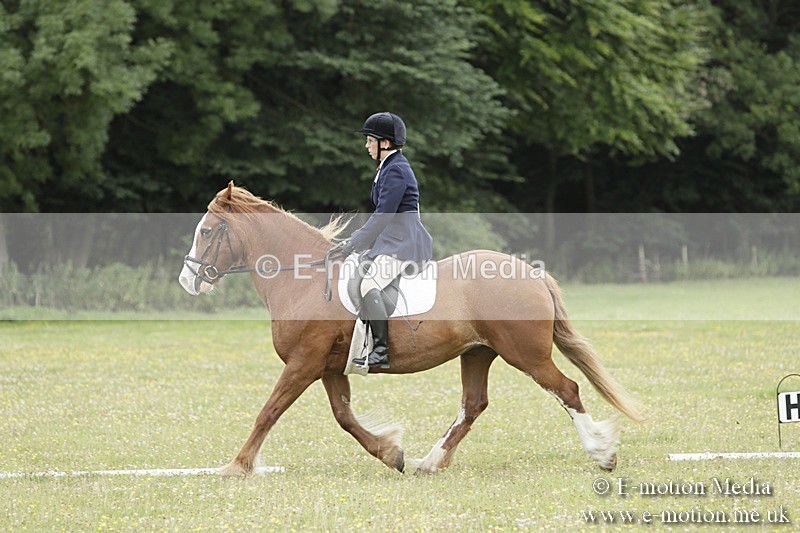 BVR160717-1230 - Class 2 Dressage 16/07/17