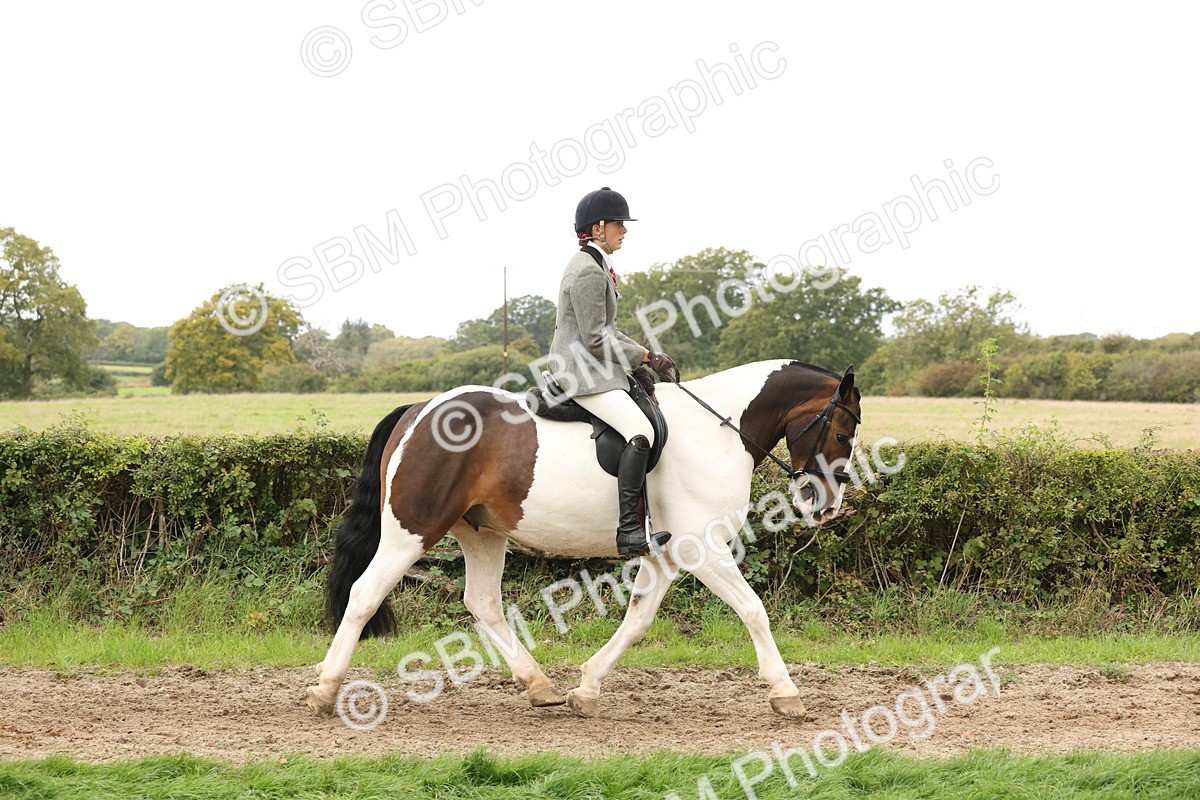 SBM_67224 - S67 - Piebald & Skewbald Horse Ridden