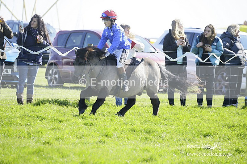 PtP 190322 88 - Wilton Hunt PtP Milborne St Andrew 19/03/22