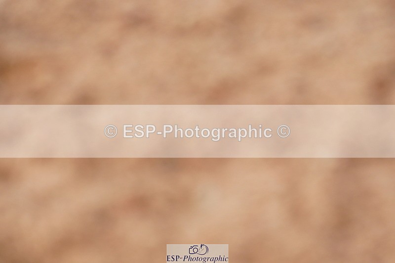 240628A-183618-00800 - Cls 3 1m Open