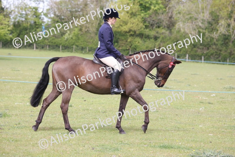 20260426-2904 - Class 33 - Best Pony 14.2hh and Under