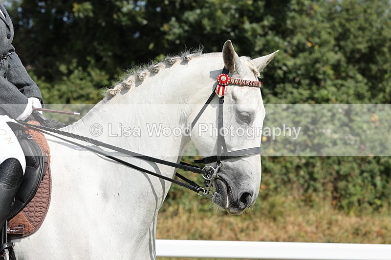 JPP_1080 - Class 17: Cornish Combination Open