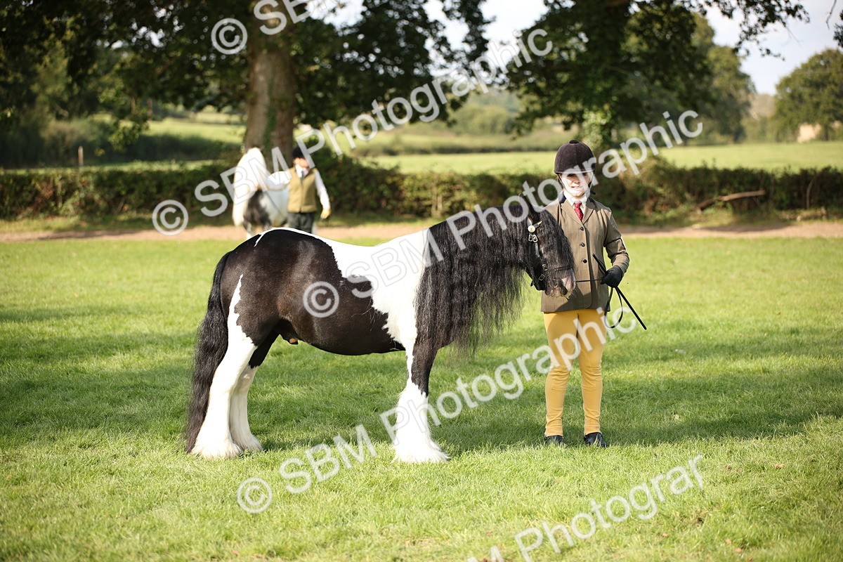 SBM_62223 - S55 - Traditional Cob In Hand