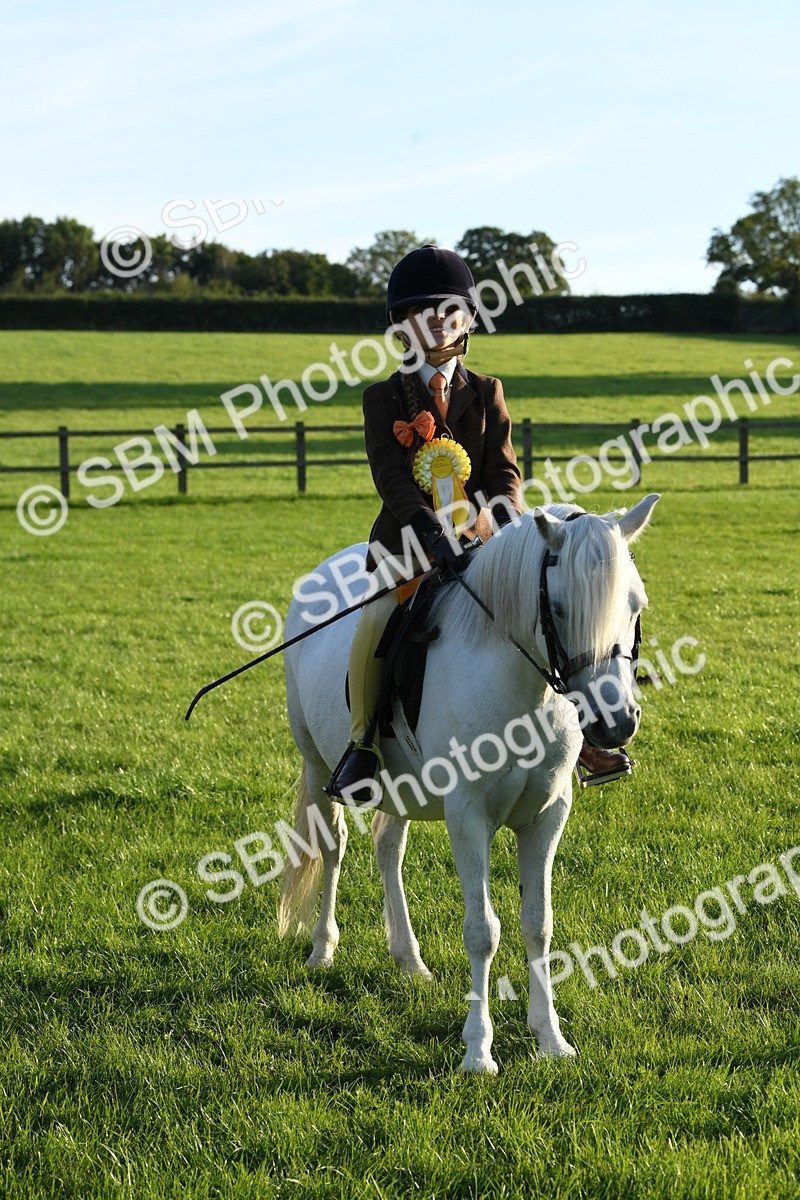 SBM_54188 - S23 - 1st Ridden Mountain & Moorland Pony