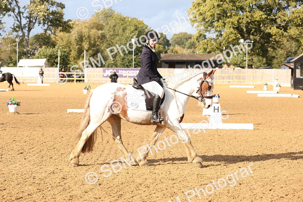 SBM_50510 - D12 - Small Tour Championship prelim 2