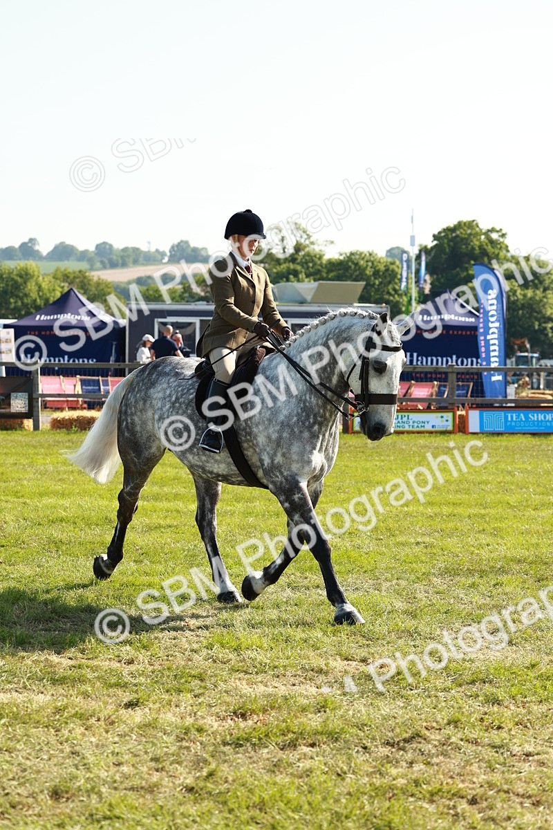 SBM_11770 - Class 66-69 - RIHS Ridden Hunters Inc Small Hunter