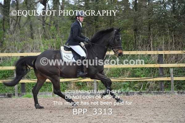 BPP_3313 - CLASS 14 SUN Senior BritiNovice/ 90cm Open