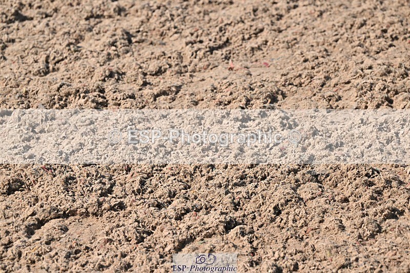 250404-142203-06599 - Cls 12 CoH Ind Presentations