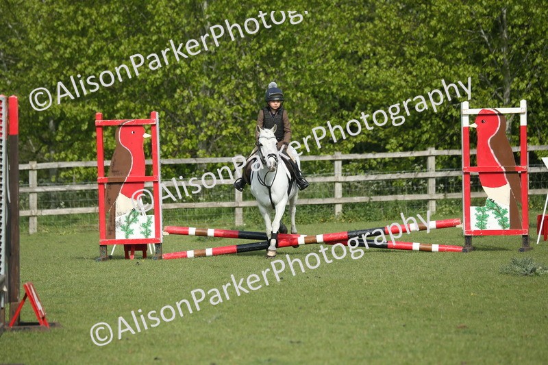 20260426-0115 - Class 13 - Rookie Jumping 50cm