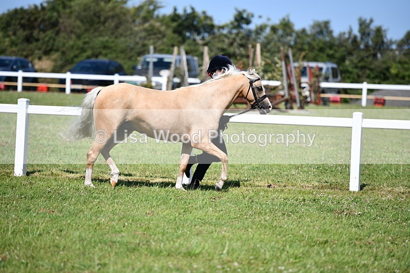 DSC_6431 - Class 53: NPS M&M 4 years and over Small Breeds