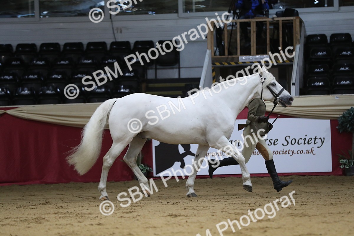 SBM_04407 - Class 7R Regional - IH Diamond