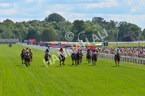 140625-Race 2-My Dream World-9291 - Race 2 2.25pm Queen Mother's Cup Handicap