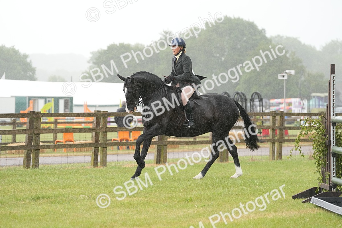 SBM_12671 - Class 97-98 - LIHS BSHA Rising Star Working Show Horse Hunter