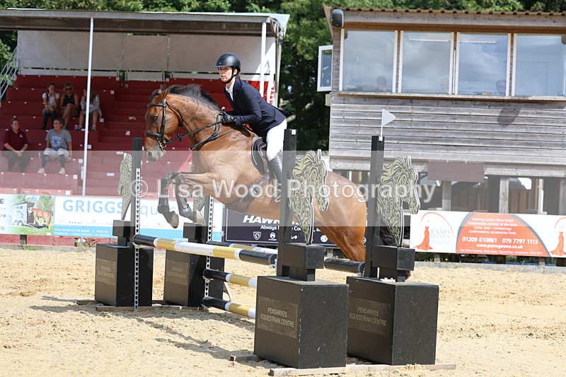 3E7A3681 - Class 4: Senior British Novice/90cm open