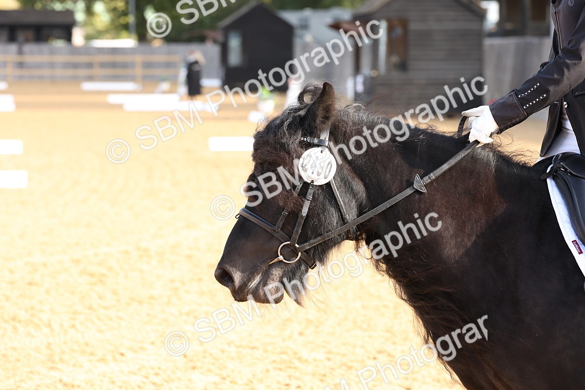 SBM_16096 - D10 - Small Tour Championship Prelim 2