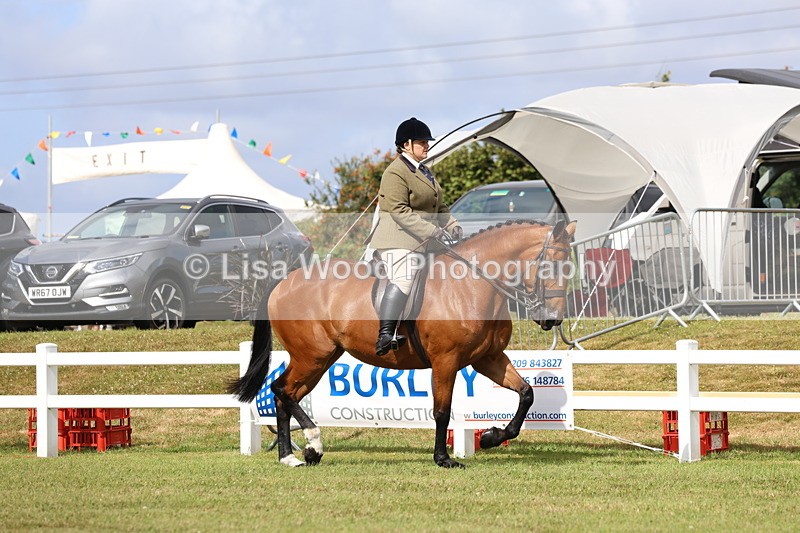 3E7A9290 - Class 4: Rising Star M/H Hunter