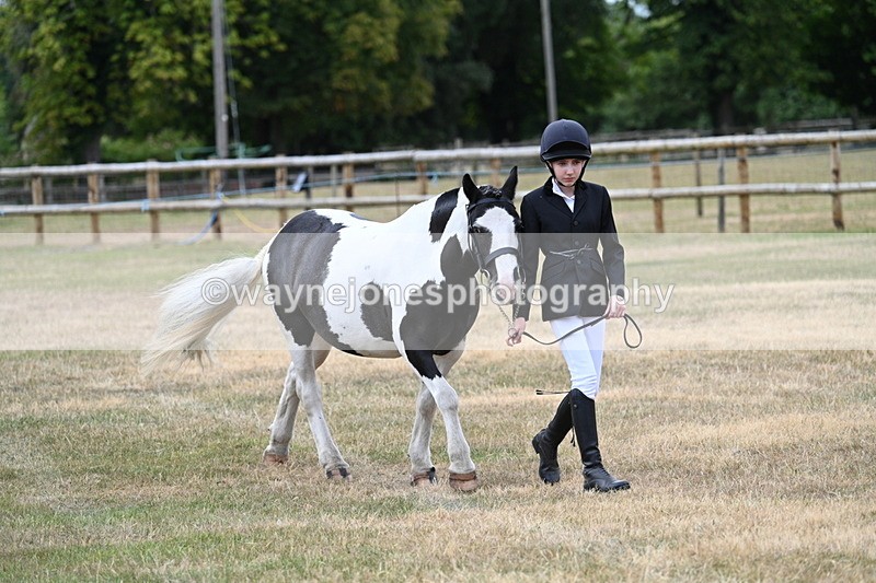 WJ7_1475 - Class 4 Prettiest Mare up to 14.2hh in hand