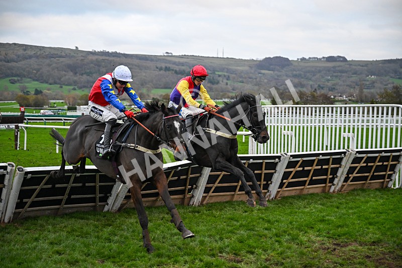 161125-Race 5-Alexei-6384 - Race 5