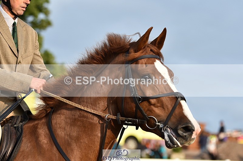 220829A-181424-00527 - 90cm classes