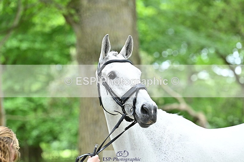 250521A-144941-00271 - A-065-Beatrice.Montgomerie-JAG.WOMANIZER.LADY