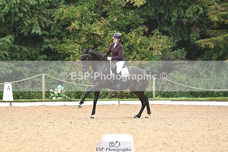 240811-100001-04916 - 148-Sophia.Marston-Solitaire.ll