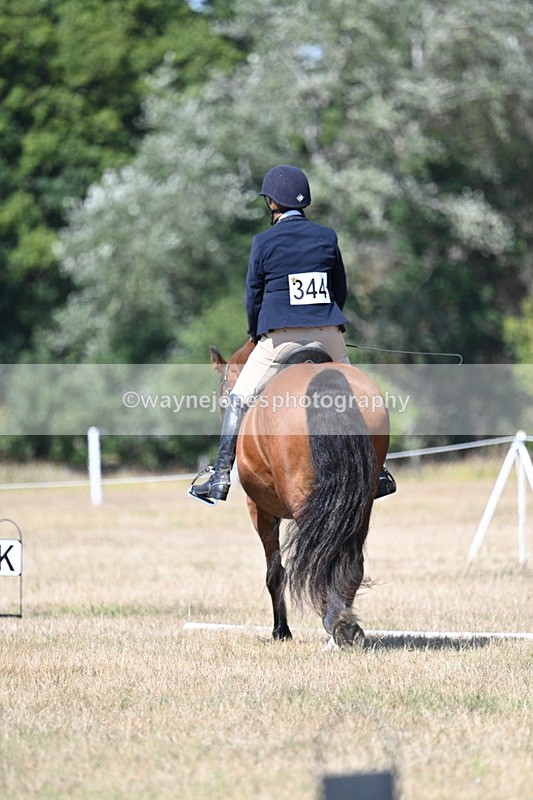 WJ7_0727 - Time 12:03 to 12:23