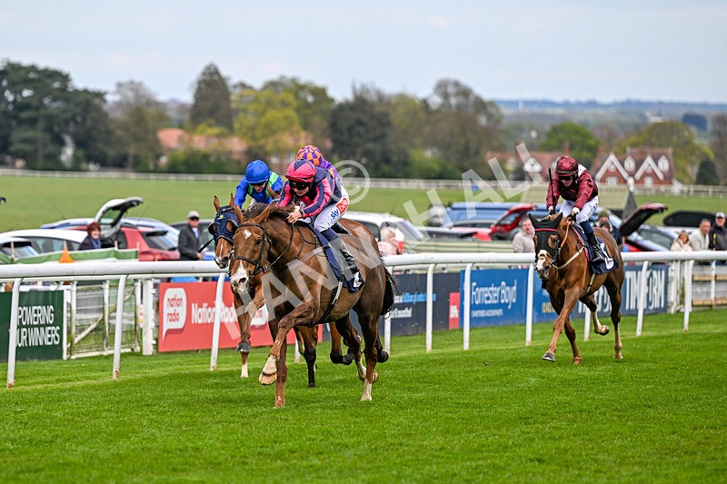 150426-Race 5-Elysian Flame-7087 - Race 5