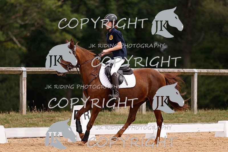 _R6A2508 - Dressage Morning