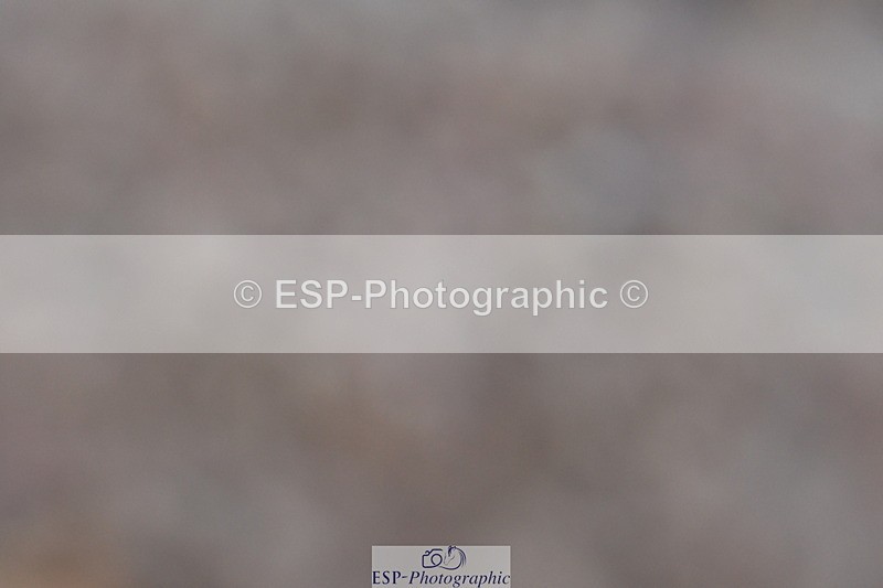 231104A-143140-00833 - Cls 18 FEI PSG