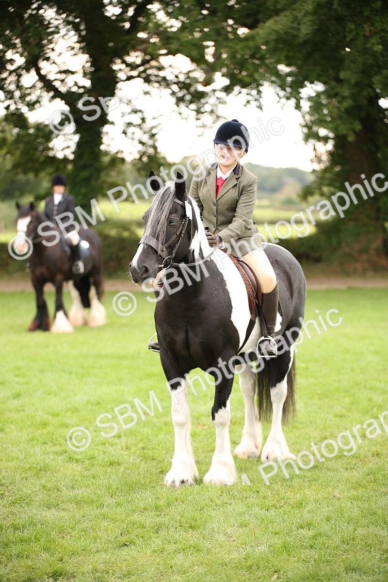 SBM_73575 - S68 - Traditional Cob Ridden