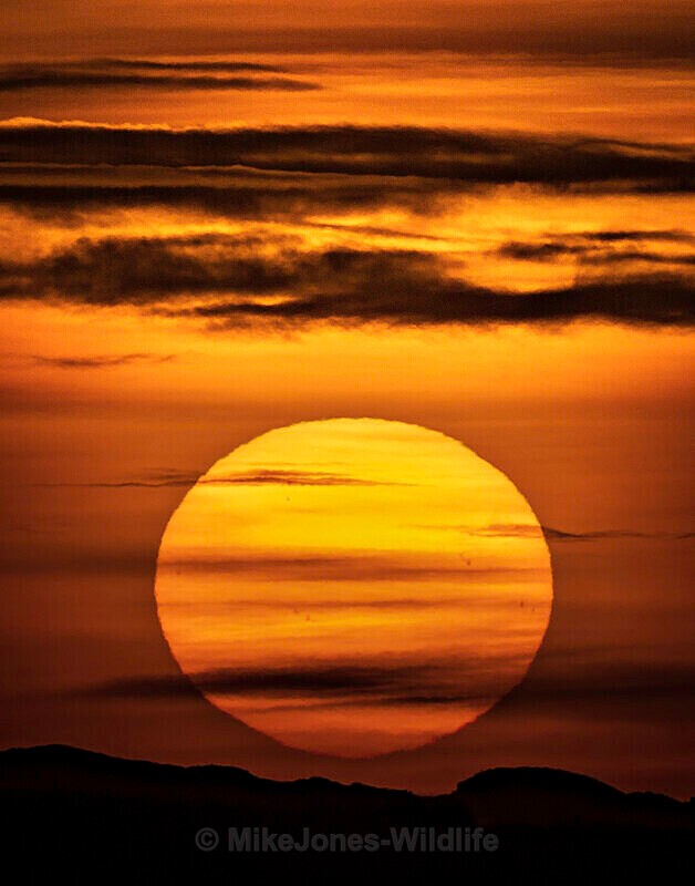 Sunset over Loch na Keal, Isle of Mull, Scotland - LATEST... Isle of Mull Otters and Landscapes December 2022 & Seal Pups from Donna Nook, Lincs