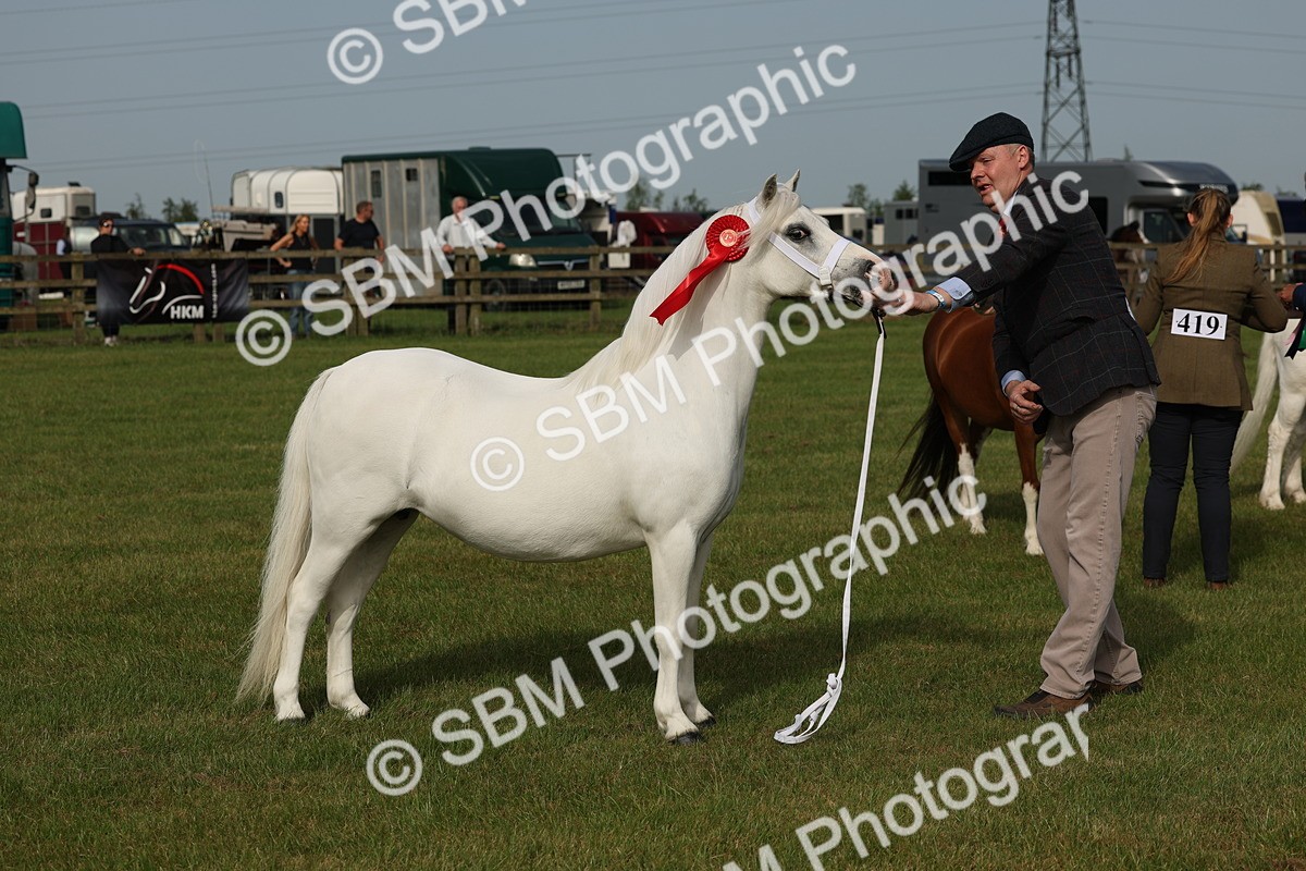 SBM_00585 - Class 6-13 - Mountatin and Moorland In Hand Welsh Breeds