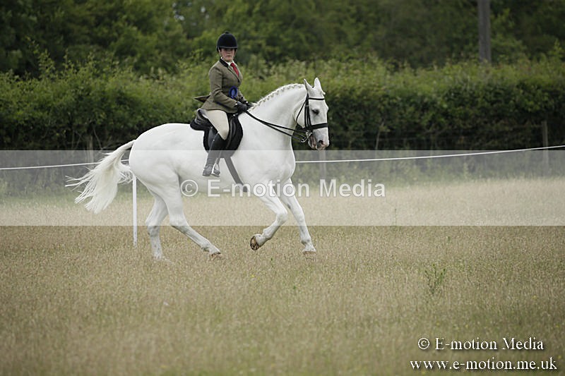 B230619-0808 - Bourne Valley Riding Club Summer Show 23/06/19