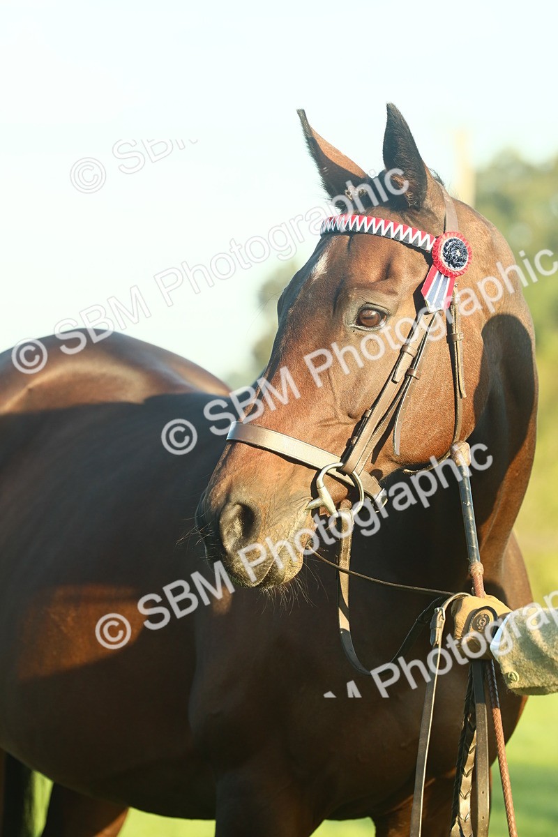 SBM_56651 - S36 - Starters Best Turnout