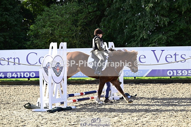 260411A-091307-00017 - 40cm Lead Rein
